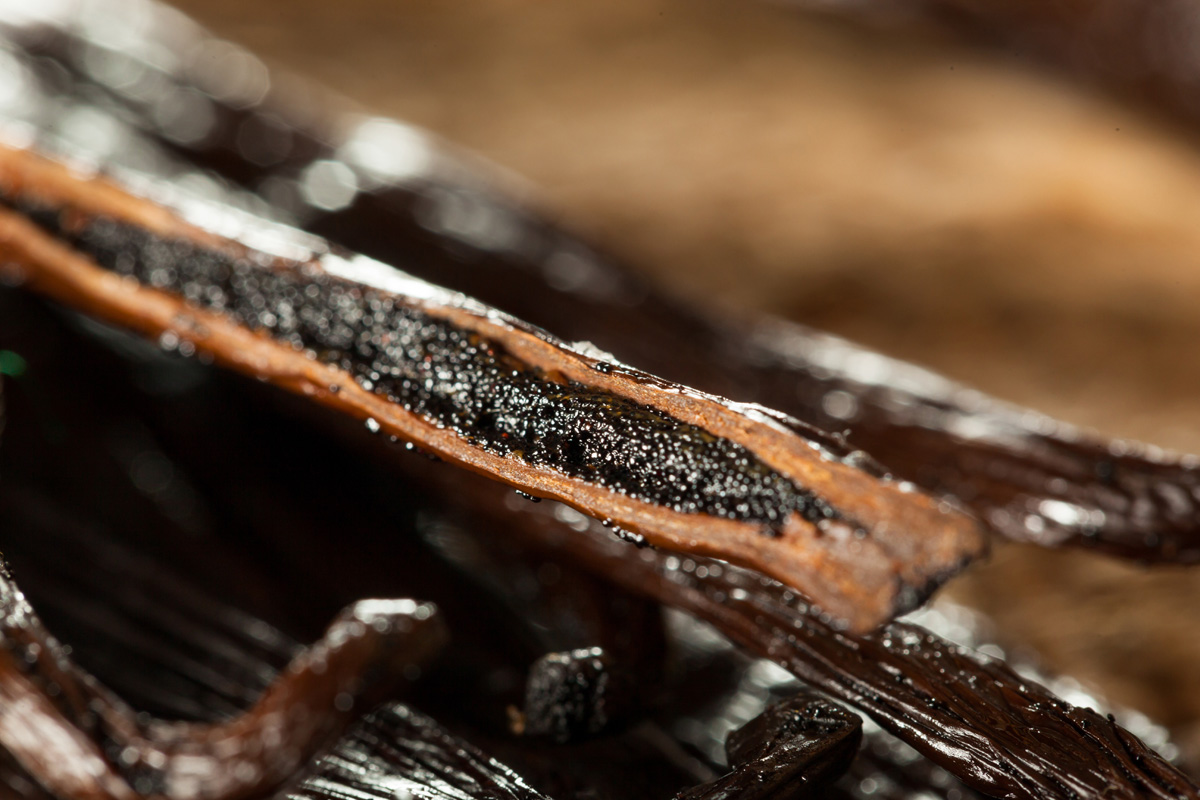 Bourbon Vanilleschote aus Madagaskar, 1 Stück